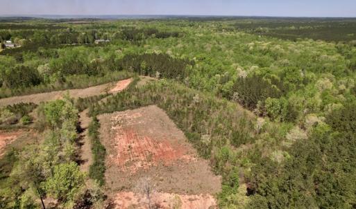 Photo #6 of SOLD property in Off Taylor’s Store Road , Nashville, NC 21.2 acres
