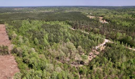Photo #10 of SOLD property in 03 Beamon Hunt Road, Warrenton, NC 16.0 acres