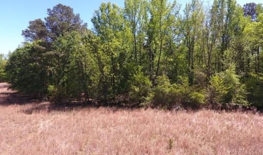 Photo #4 of Off Mcquage Farm Road, Bennettsville, SC 2.0 acres