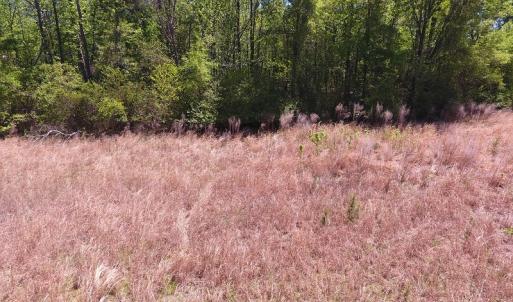 Photo #4 of SOLD property in Off Mcquage Farm Road, Bennettsville, SC 2.1 acres