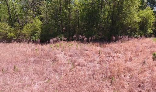 Photo #6 of SOLD property in Off Mcquage Farm Road, Bennettsville, SC 2.1 acres