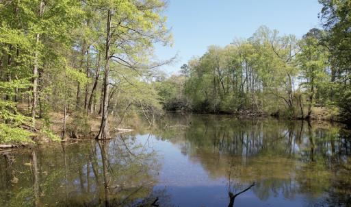 Photo #11 of Off Murphy Mill Road, Windsor, VA 48.8 acres
