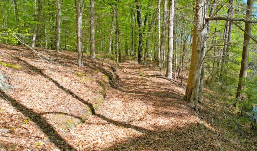 Photo #15 of Off Murphy Mill Road, Windsor, VA 48.8 acres