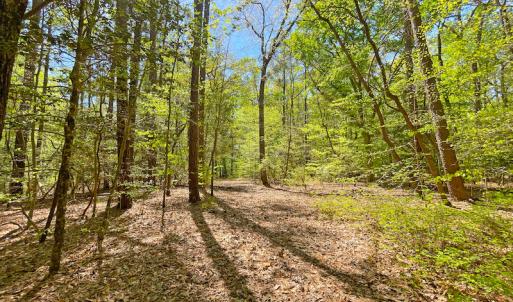 Photo #17 of Off Murphy Mill Road, Windsor, VA 48.8 acres