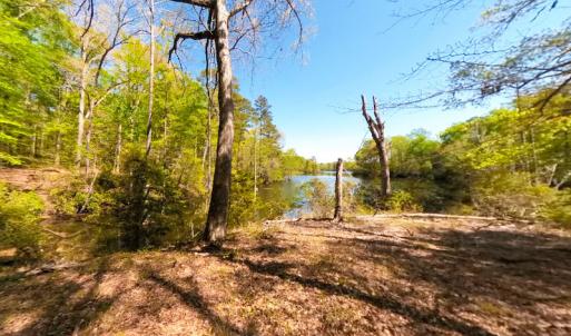 Photo #18 of Off Murphy Mill Road, Windsor, VA 48.8 acres