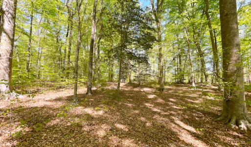 Photo #19 of Off Murphy Mill Road, Windsor, VA 48.8 acres