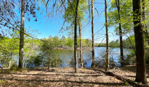 Photo #21 of Off Murphy Mill Road, Windsor, VA 48.8 acres