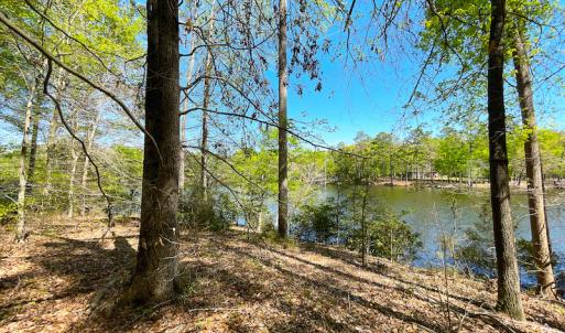 Photo #22 of Off Murphy Mill Road, Windsor, VA 48.8 acres