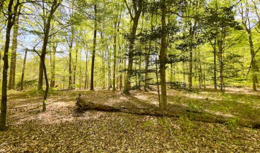 Photo #23 of Off Murphy Mill Road, Windsor, VA 48.8 acres