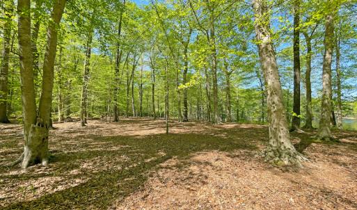 Photo #24 of Off Murphy Mill Road, Windsor, VA 48.8 acres