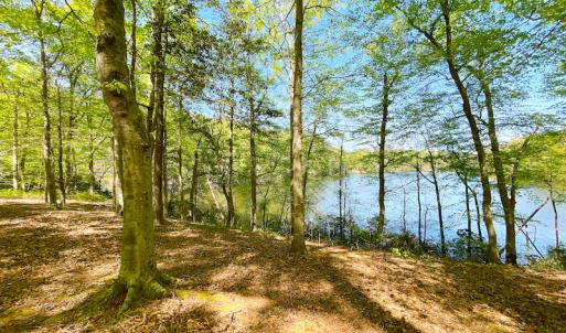 Photo #25 of Off Murphy Mill Road, Windsor, VA 48.8 acres
