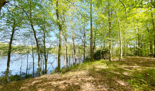 Photo #26 of Off Murphy Mill Road, Windsor, VA 48.8 acres