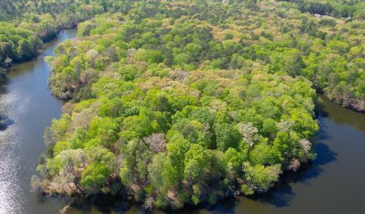 Photo #9 of Off Murphy Mill Road, Windsor, VA 48.8 acres