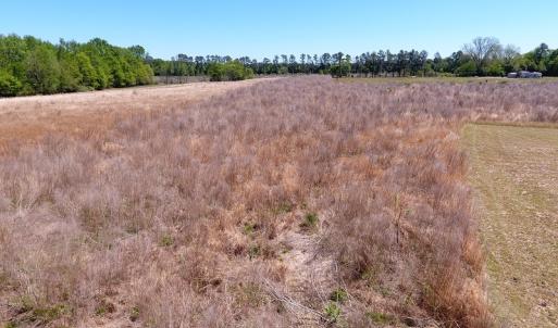 Photo #4 of SOLD property in Off Mcquage Farm Road, Bennettsville, SC 2.0 acres