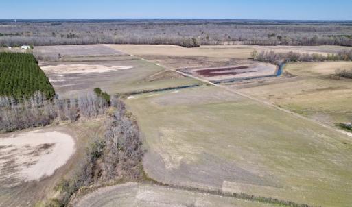 Photo #10 of SOLD property in Off Alvin Road , Grimesland, NC 46.6 acres