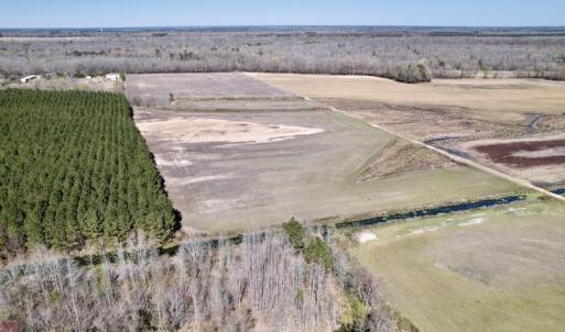 Photo #11 of SOLD property in Off Alvin Road , Grimesland, NC 46.6 acres