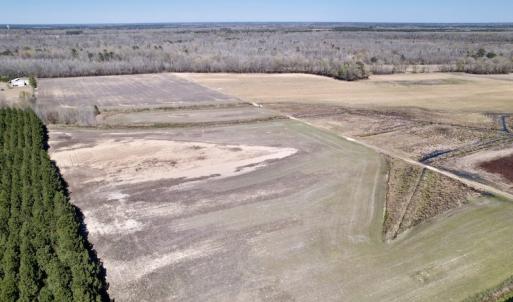Photo #12 of SOLD property in Off Alvin Road , Grimesland, NC 46.6 acres