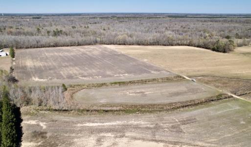 Photo #14 of SOLD property in Off Alvin Road , Grimesland, NC 46.6 acres