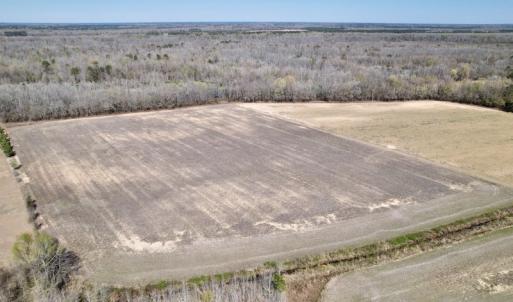Photo #15 of SOLD property in Off Alvin Road , Grimesland, NC 46.6 acres