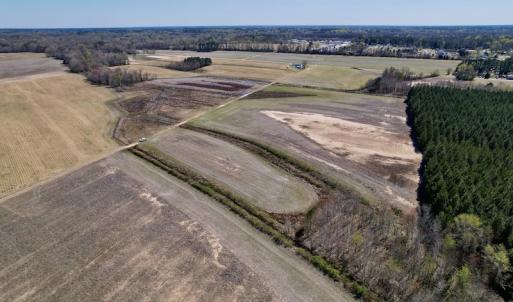 Photo #16 of SOLD property in Off Alvin Road , Grimesland, NC 46.6 acres