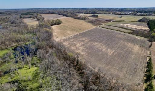 Photo #17 of SOLD property in Off Alvin Road , Grimesland, NC 46.6 acres