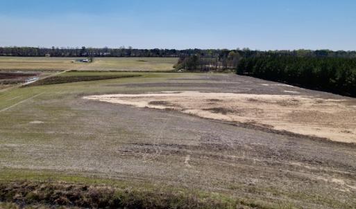 Photo #21 of SOLD property in Off Alvin Road , Grimesland, NC 46.6 acres