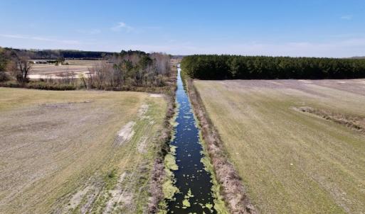 Photo #23 of SOLD property in Off Alvin Road , Grimesland, NC 46.6 acres