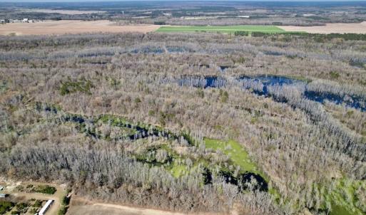 Photo #25 of SOLD property in Off Alvin Road , Grimesland, NC 46.6 acres
