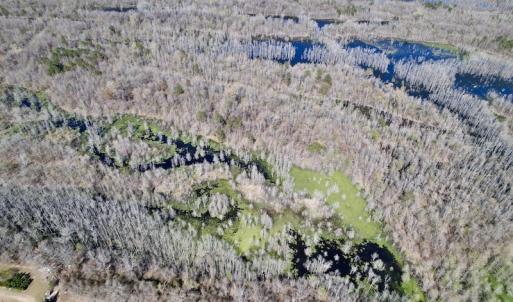 Photo #26 of SOLD property in Off Alvin Road , Grimesland, NC 46.6 acres