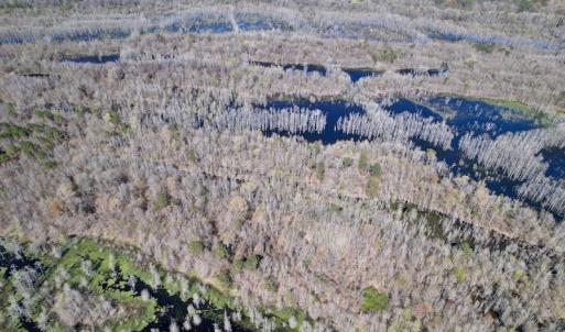 Photo #27 of SOLD property in Off Alvin Road , Grimesland, NC 46.6 acres