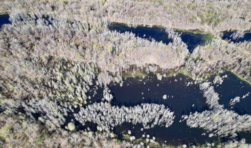Photo #28 of SOLD property in Off Alvin Road , Grimesland, NC 46.6 acres