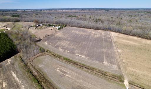 Photo #2 of SOLD property in Off Alvin Road , Grimesland, NC 46.6 acres