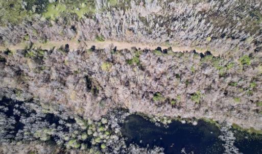 Photo #29 of SOLD property in Off Alvin Road , Grimesland, NC 46.6 acres