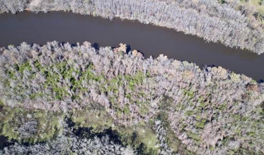 Photo #31 of SOLD property in Off Alvin Road , Grimesland, NC 46.6 acres
