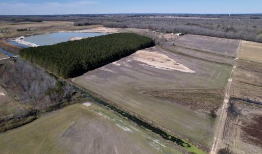 Photo #5 of SOLD property in Off Alvin Road , Grimesland, NC 46.6 acres