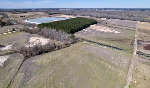 Photo #6 of SOLD property in Off Alvin Road , Grimesland, NC 46.6 acres