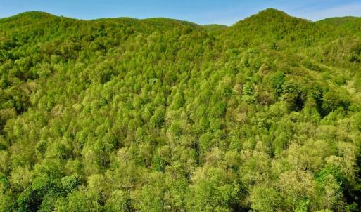 Photo #2 of SOLD property in Off Runnett Bag Rd, Ferrum, VA 57.0 acres