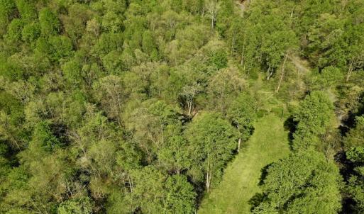 Photo #3 of SOLD property in Off Runnett Bag Rd, Ferrum, VA 57.0 acres