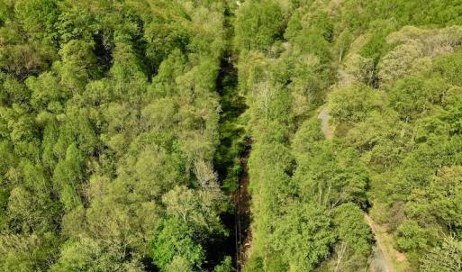 Photo #4 of SOLD property in Off Runnett Bag Rd, Ferrum, VA 57.0 acres