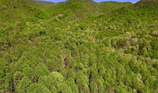 Photo #8 of SOLD property in Off Runnett Bag Rd, Ferrum, VA 57.0 acres