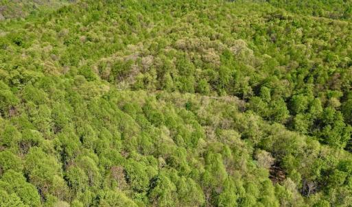Photo #9 of SOLD property in Off Runnett Bag Rd, Ferrum, VA 57.0 acres