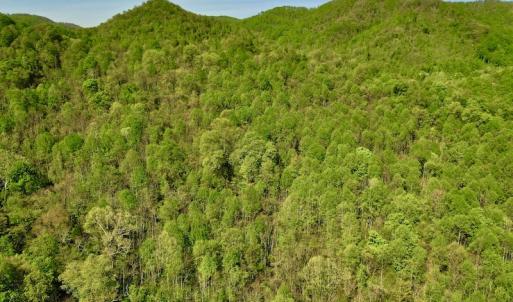 Photo #10 of SOLD property in Off Runnett Bag Rd, Ferrum, VA 57.0 acres