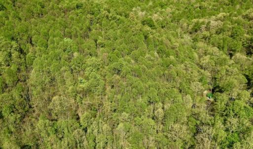 Photo #11 of SOLD property in Off Runnett Bag Rd, Ferrum, VA 57.0 acres