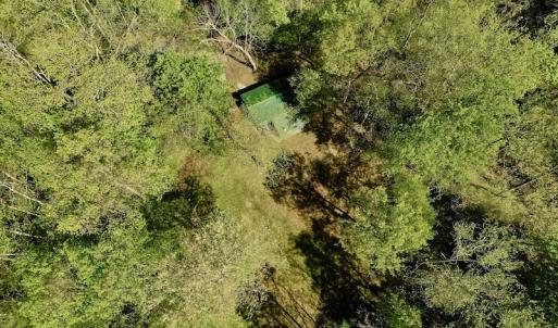 Photo #12 of SOLD property in Off Runnett Bag Rd, Ferrum, VA 57.0 acres