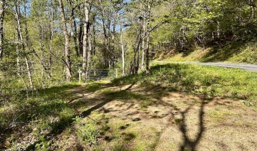 Photo #13 of SOLD property in Off Runnett Bag Rd, Ferrum, VA 57.0 acres