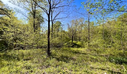 Photo #14 of SOLD property in Off Runnett Bag Rd, Ferrum, VA 57.0 acres