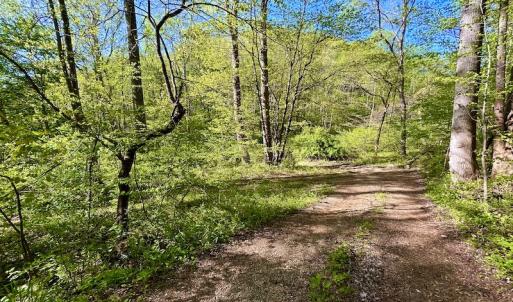 Photo #15 of SOLD property in Off Runnett Bag Rd, Ferrum, VA 57.0 acres