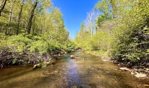 Photo #16 of SOLD property in Off Runnett Bag Rd, Ferrum, VA 57.0 acres