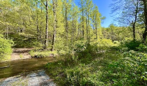 Photo #17 of SOLD property in Off Runnett Bag Rd, Ferrum, VA 57.0 acres