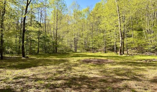 Photo #19 of SOLD property in Off Runnett Bag Rd, Ferrum, VA 57.0 acres